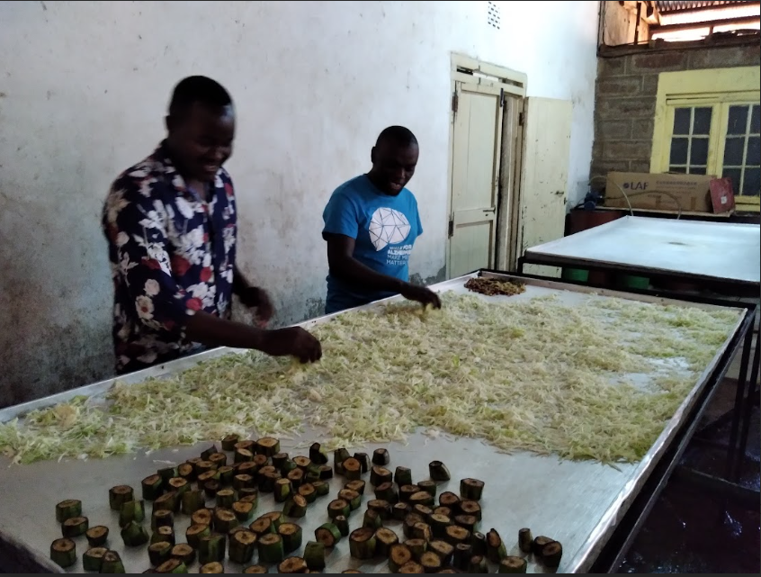 Kenya Plant-Based Protein Innovation & Standards Hub