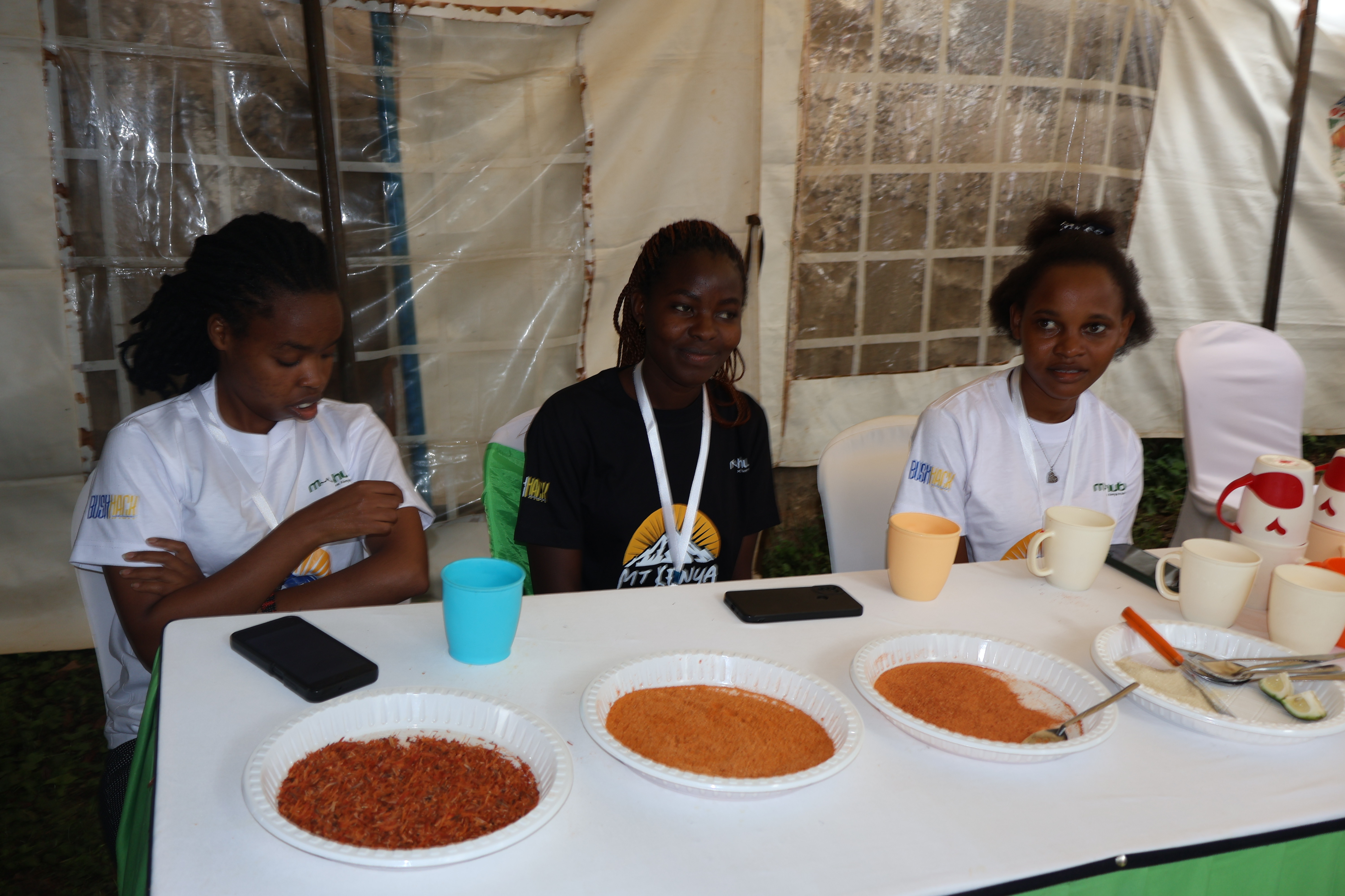 Sustainable Food Market Activation & Consumer Engagement Initiative